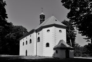 P1174694