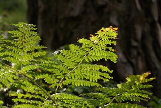 P1174804