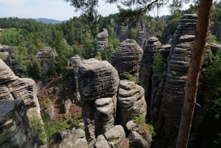 P1174841