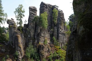 P1174846