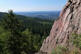 P1185263