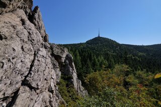 P1185267