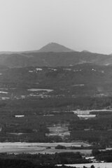 P1185386 (2)