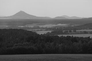 P1185398