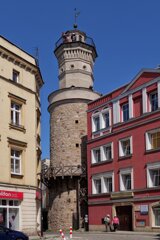 P1185562