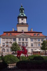 P1185590