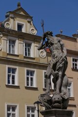 P1185619