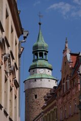 P1185651