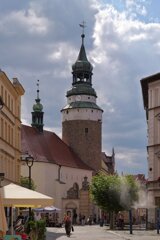 P1185666