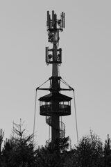 P1186174