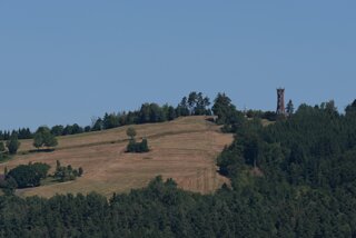 P1186067