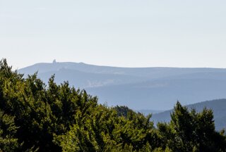 P1196359