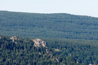 P1196377
