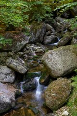 P1196439