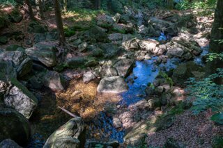P1196454