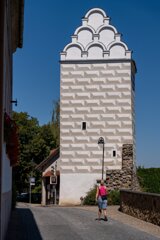 P1196509