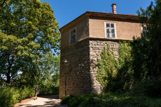 P1196529