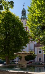 P1196533