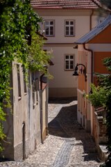 P1196539