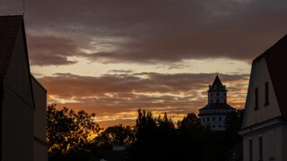 P1197351