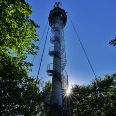 2026-08-11_Dubecko