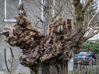 20230413_unbenannt_189