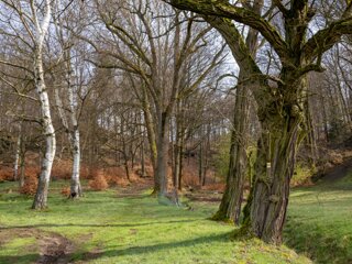 20230416_unbenannt_335-Verbessert-RR