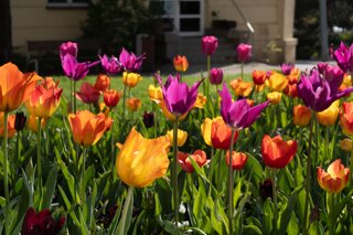 20240405_maehren_183