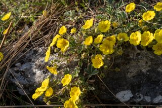 20240405_maehren_217