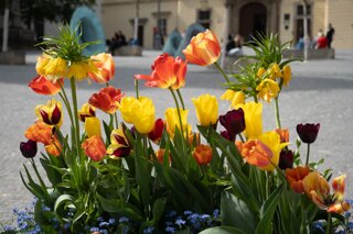 20240408_maehren_621