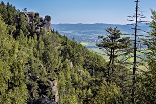 P1077695_edit_edit_edit