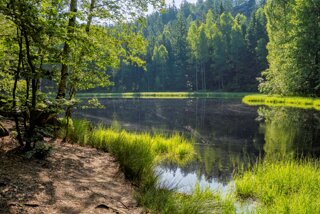 20250615_Burg_Skály_007_edit