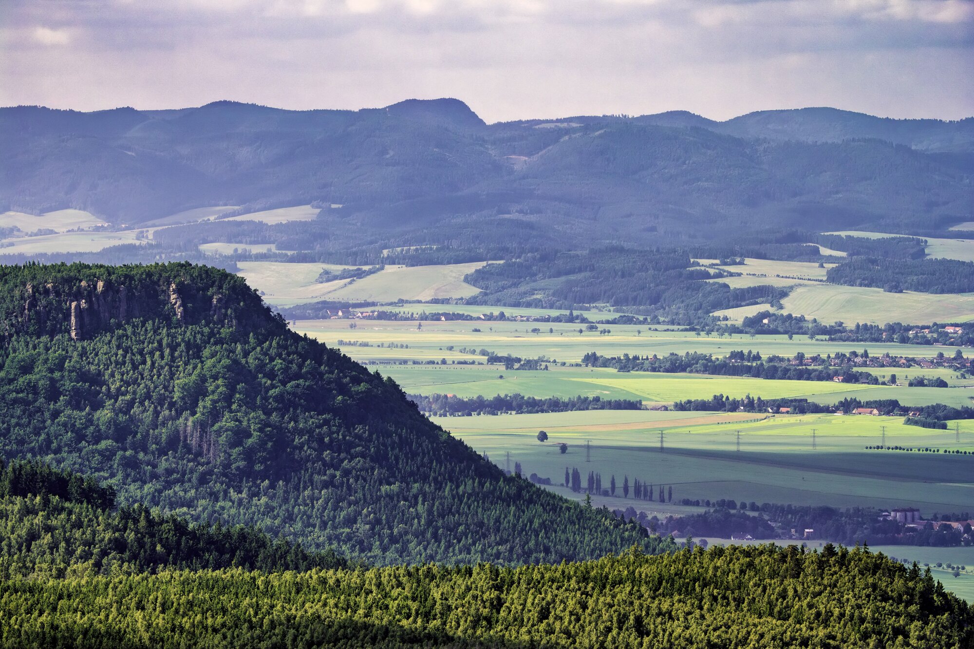 20250611_große_heuscheuer_013_edit_edit 