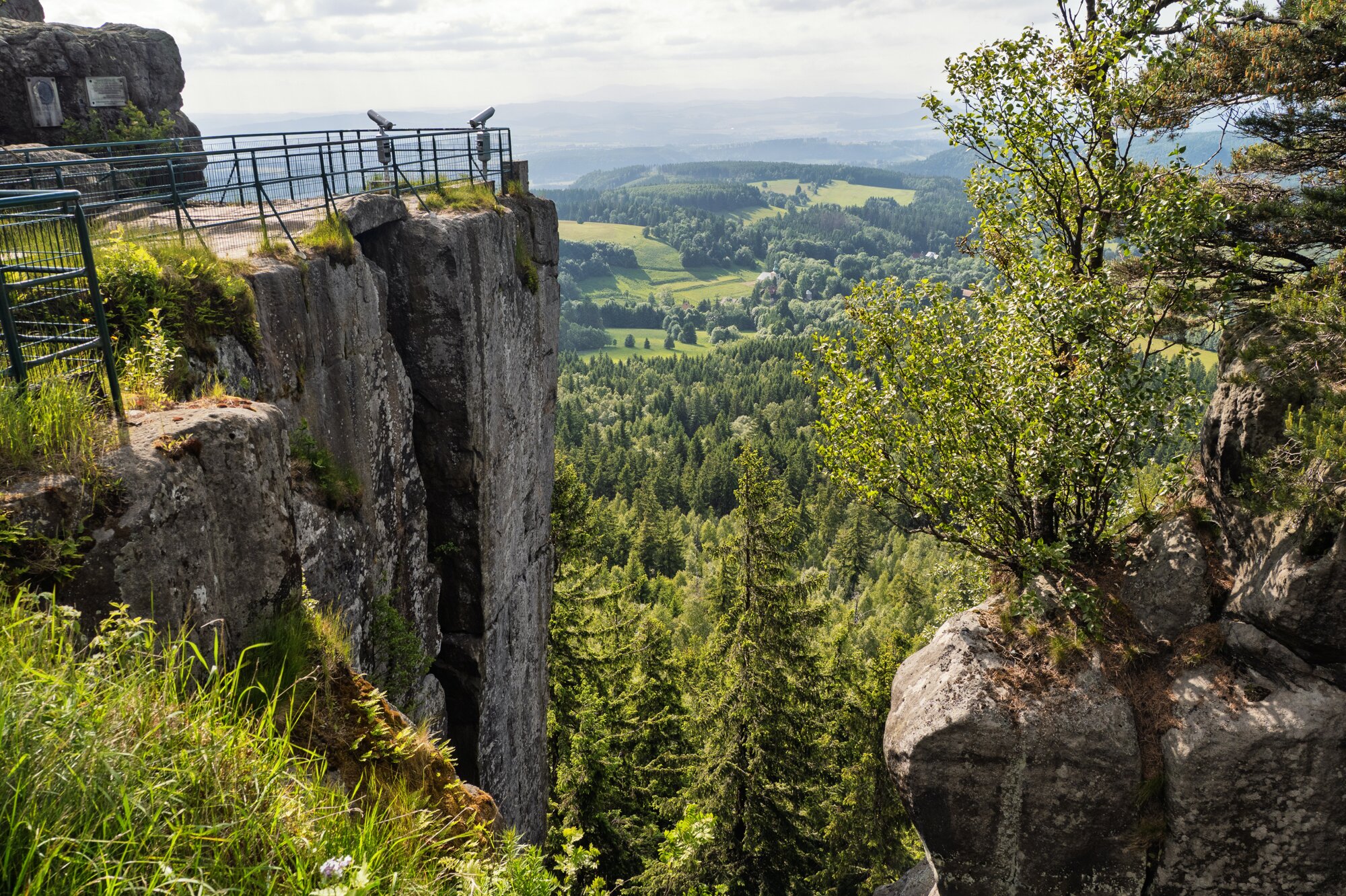 20250611_große_heuscheuer_025_edit 