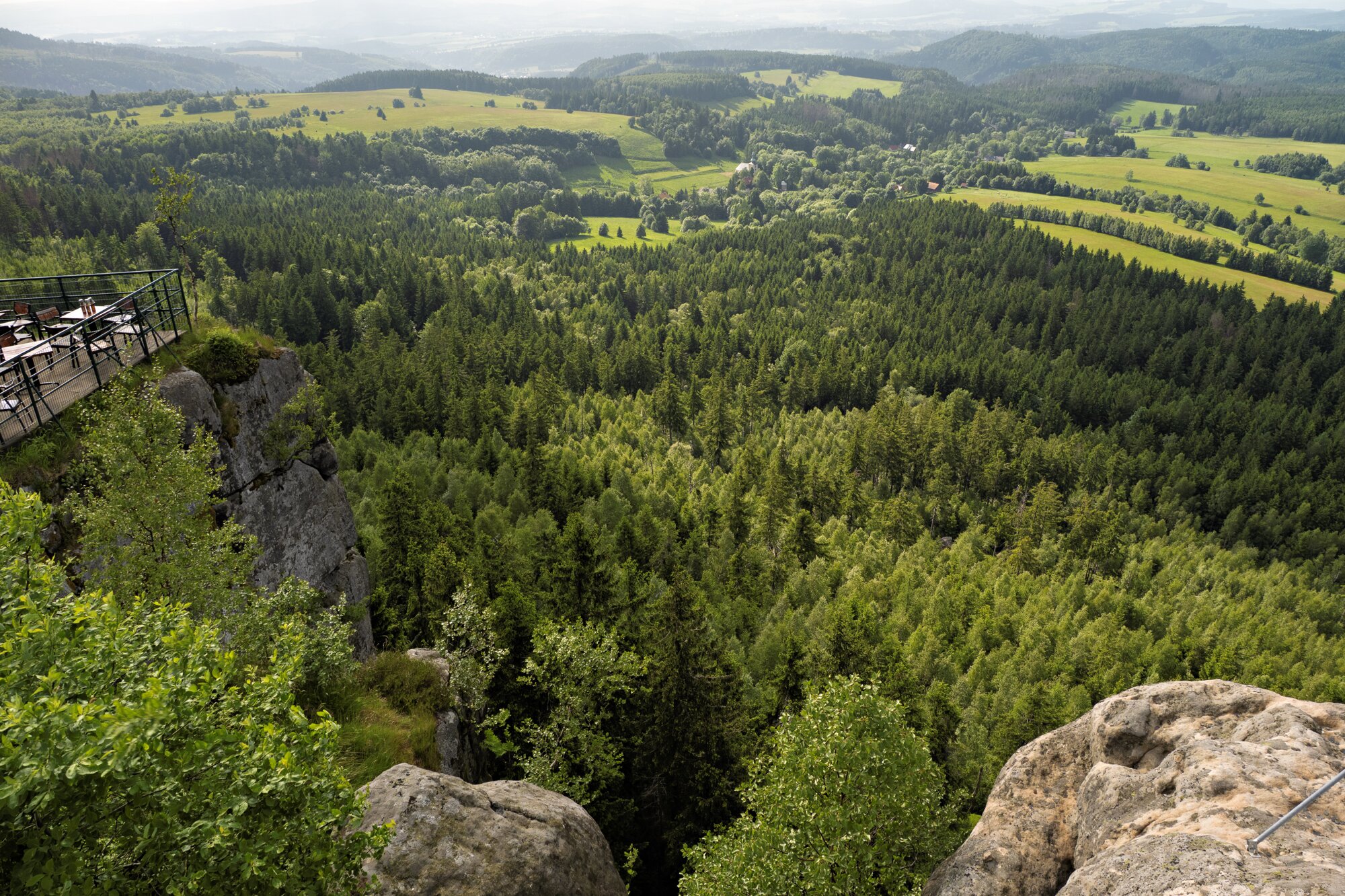 20250611_große_heuscheuer_037_edit 