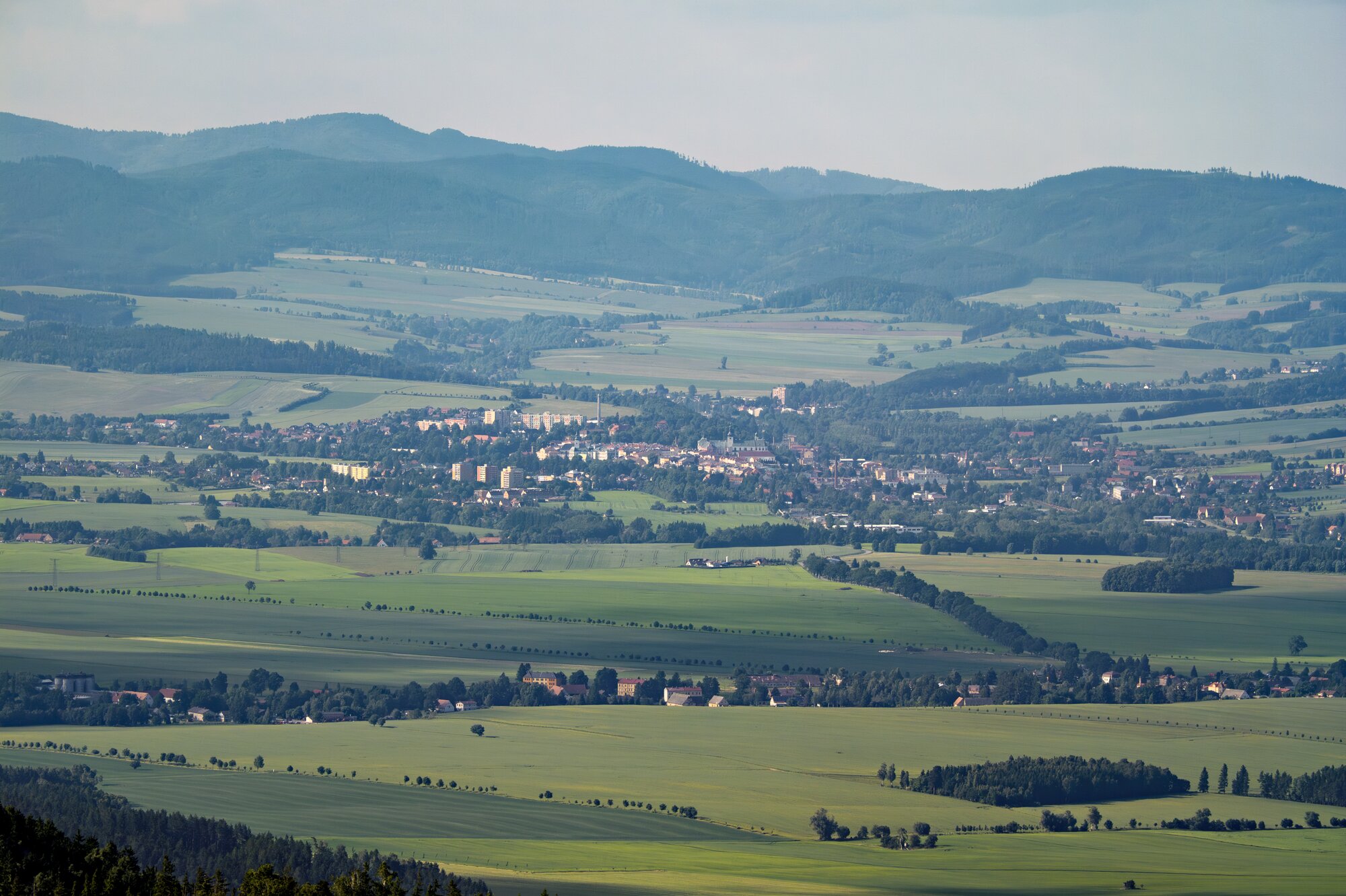 20250611_große_heuscheuer_042_edit 