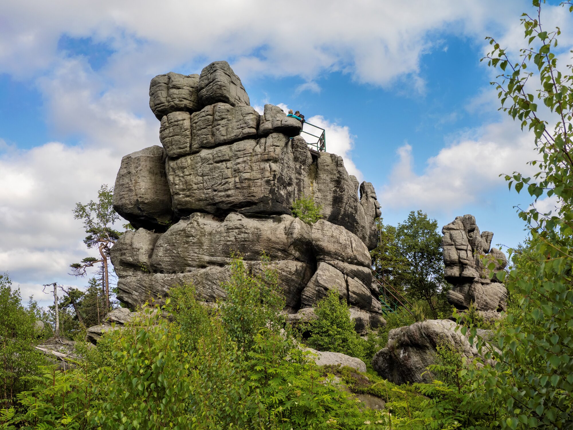 20250611_große_heuscheuer_047_edit 