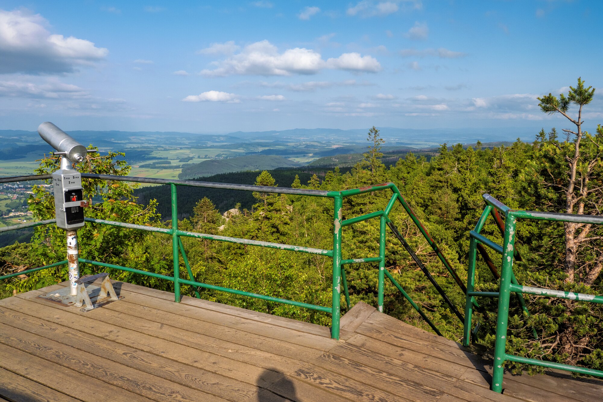 20250611_große_heuscheuer_057_edit 