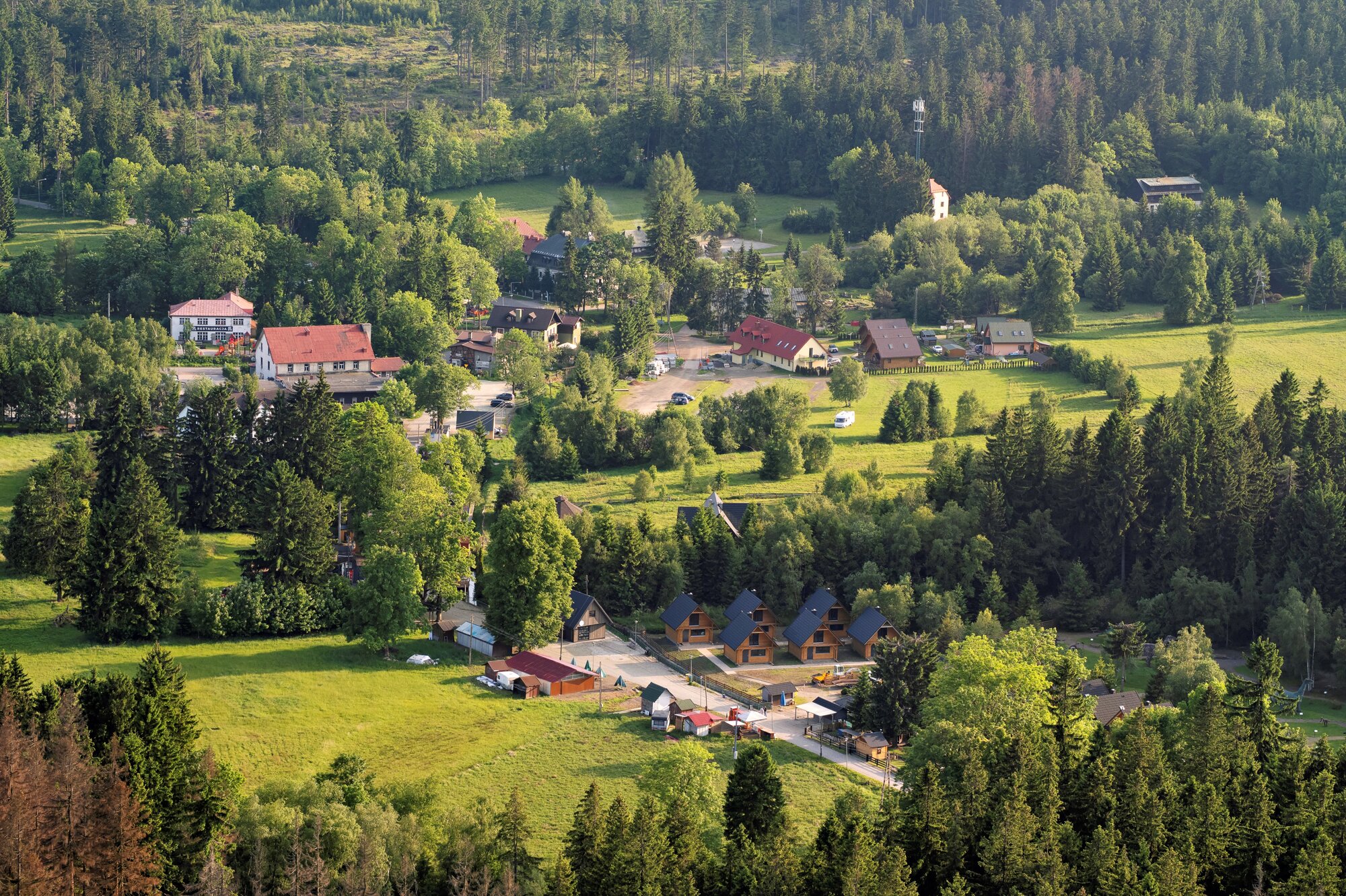 20250611_große_heuscheuer_181_edit 