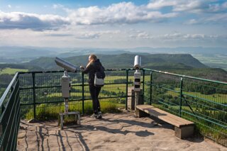 20250611_große_heuscheuer_006