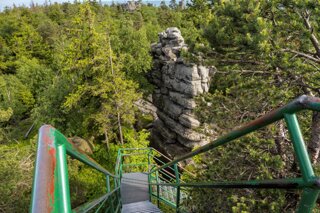 20250611_große_heuscheuer_059_edit