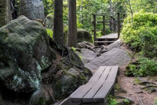 20250611_große_heuscheuer_063_edit