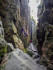 20250611_große_heuscheuer_085-HDR