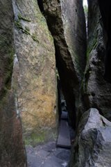 20250611_große_heuscheuer_096