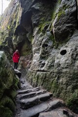 20250611_große_heuscheuer_101_edit_edit