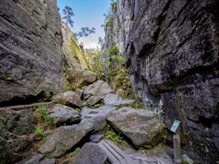 20250611_große_heuscheuer_112-HDR_edit