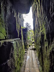 20250611_große_heuscheuer_159_LuminarNeo-edit_edit_edit