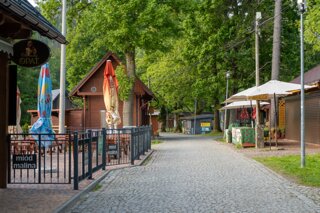 20250611_große_heuscheuer_236