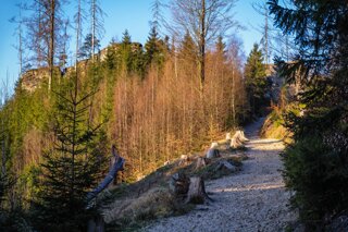 P1130273_edit