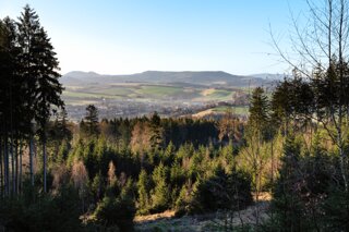 P1130274_edit-3